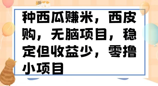 种西瓜赚米，西皮购稳定长久零撸小项目-木白网创