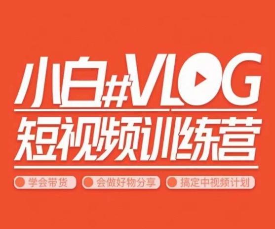 小呆说视–小白VLOG短视频训练营，学会带货、好物、直播、中视频-木白网创