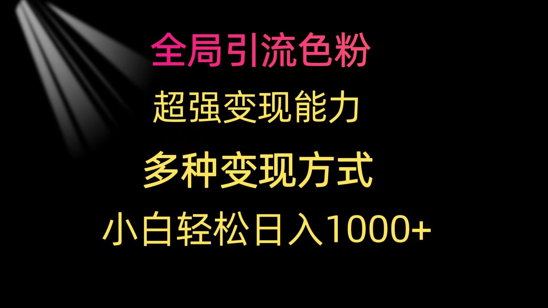 (9680期)全局引流色粉 超强变现能力 多种变现方式 小白轻松日入1000+-木白网创