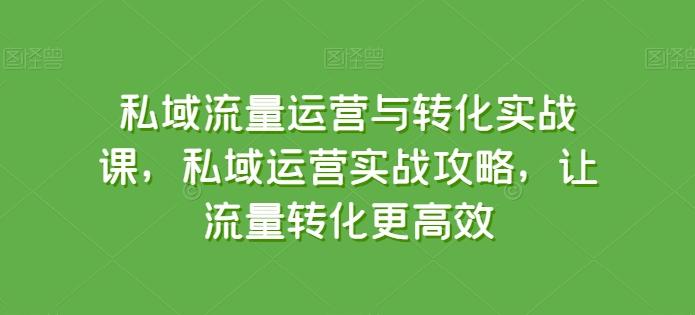 私域流量运营与转化实战课，私域运营实战攻略，让流量转化更高效-木白网创