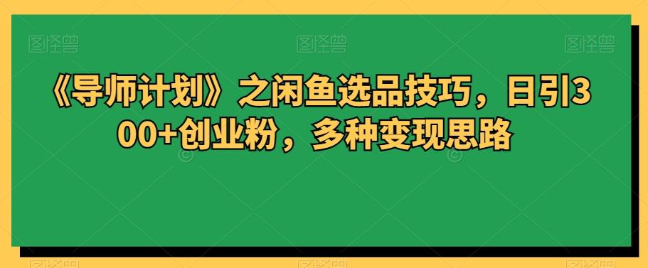 《导师计划》之闲鱼选品技巧，日引300+创业粉，多种变现思路-木白网创