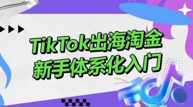 TikTok出海淘金，新手体系化入门，零基础快速入门，掌握短视频、直播带货等引流到变现的知识-木白网创