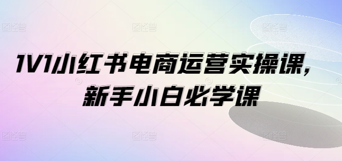 1V1小红书电商运营实操课，新手小白必学课-木白网创