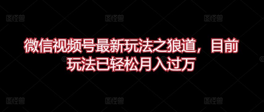 微信视频号最新玩法之狼道，目前玩法已轻松月入过万【揭秘】-木白网创