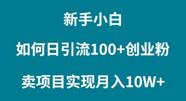 (9556期)新手小白如何通过卖项目实现月入10W+-木白网创