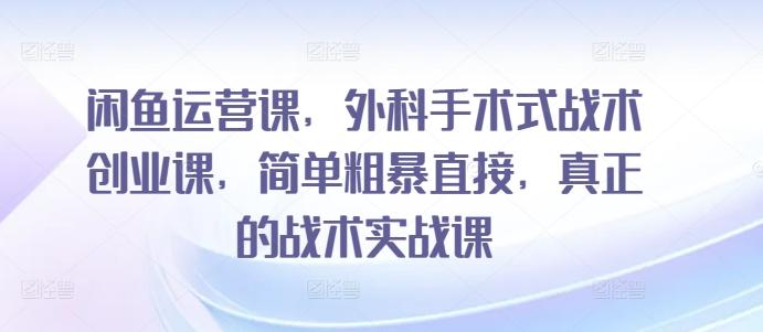 闲鱼运营课，外科手术式战术创业课，简单粗暴直接，真正的战术实战课-木白网创
