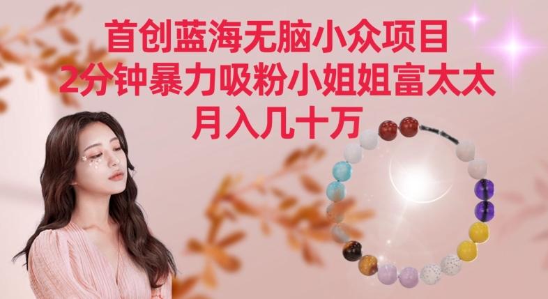 首创蓝海无脑小众项目，2分钟暴力吸粉小姐姐富太太，月入几十万【揭秘】-木白网创