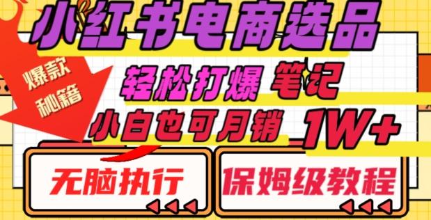 小红书电商爆款选品秘籍，帮你轻松打爆笔记，小白也可轻松月销10000+-木白网创