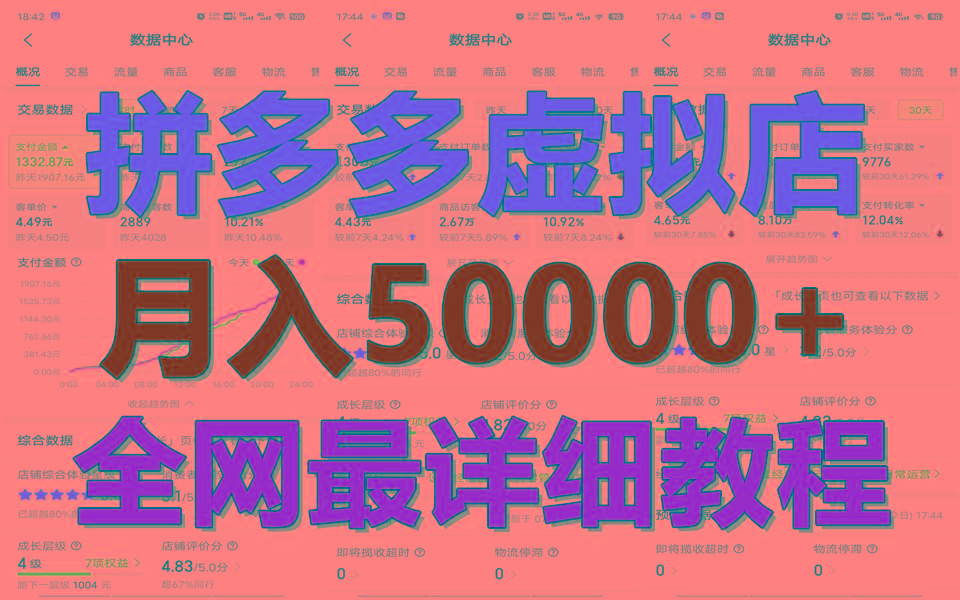 拼多多虚拟电商训练营月入50000+你也行，暴利稳定长久，副业首选-木白网创