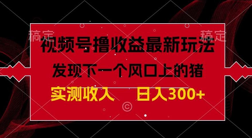 视频号分成计划最新玩法，单条作品几分钟制作完成,日入300+，过年前最后的冲刺-木白网创