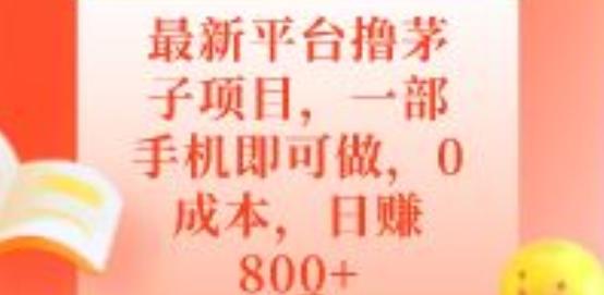 最新平台撸茅子项目，一部手机即可做，0成本，日赚800+-木白网创