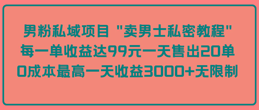 (9730期)男粉私域项目 “卖男士私密教程” 每一单收益达99元一天售出20单-木白网创