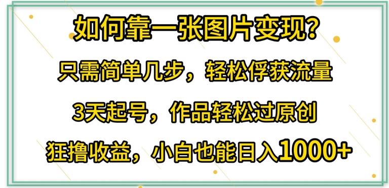 如何靠一张图片变现?只需简单几步，轻松俘获流量，3天起号，作品轻松过原创【揭秘】-木白网创