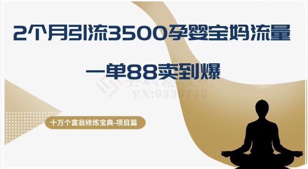十万个富翁修炼宝典之13.2个月引流3500孕婴宝妈流量，一单88卖到爆-木白网创