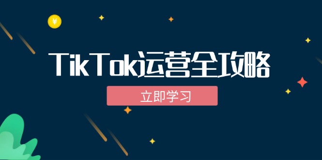 TikTok实战运营全攻略：从下载软件到变现，抖音海外版实操教程-木白网创