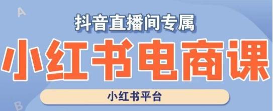 小红书电商高级运营课程，实操教学+案例分析-木白网创