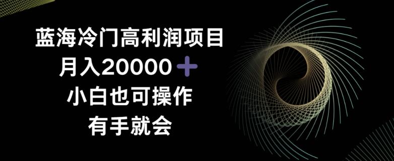 蓝海冷门高利润项目月入2000，小白也可操作有手就会-木白网创