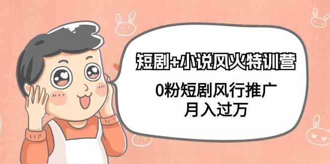 小说+短剧风火特训营，0粉短剧小说风行推广，实现月入过万-木白网创